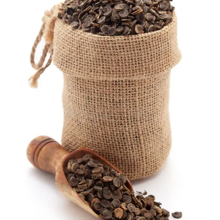 Khatmi / Marshmallow / Althaea Officinalis خطمی