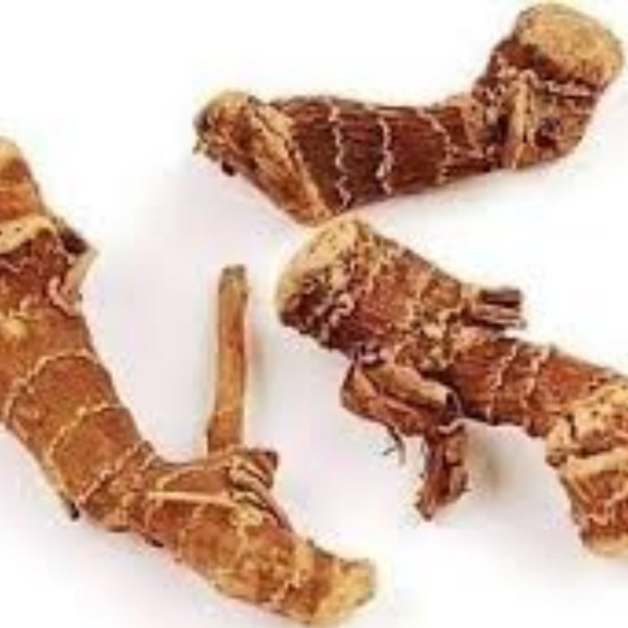 Jarpan / Galangal / Panjarh جڑپان/خولنجاں