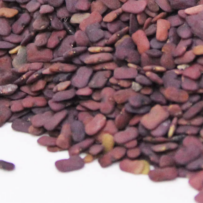 Methi Dana Irani / Fenugreek Seeds / ایرانی میتھی دانہ