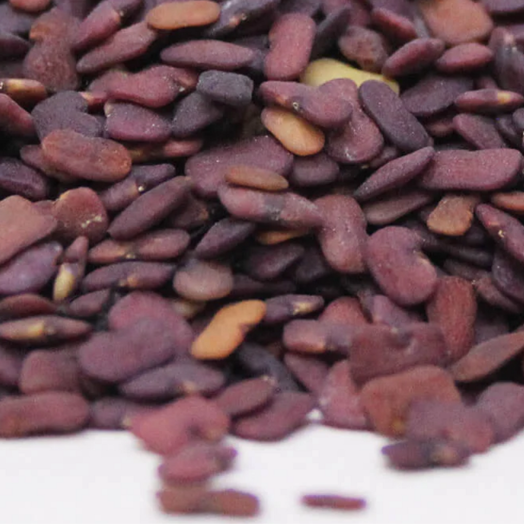 Methi Dana Irani / Fenugreek Seeds / ایرانی میتھی دانہ