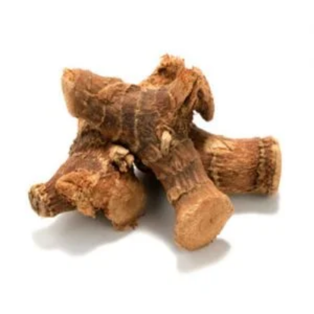 Jarpan / Galangal / Panjarh جڑپان/خولنجاں