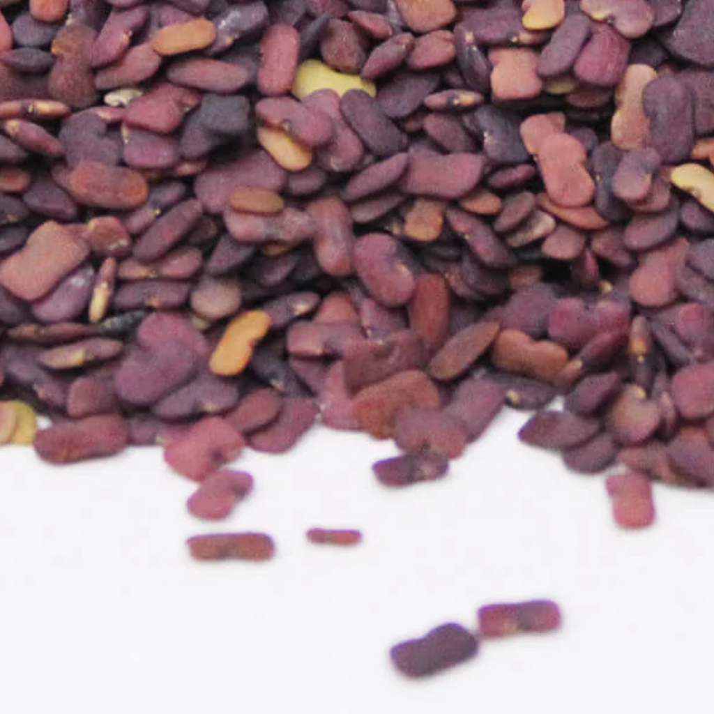 Methi Dana Irani / Fenugreek Seeds / ایرانی میتھی دانہ