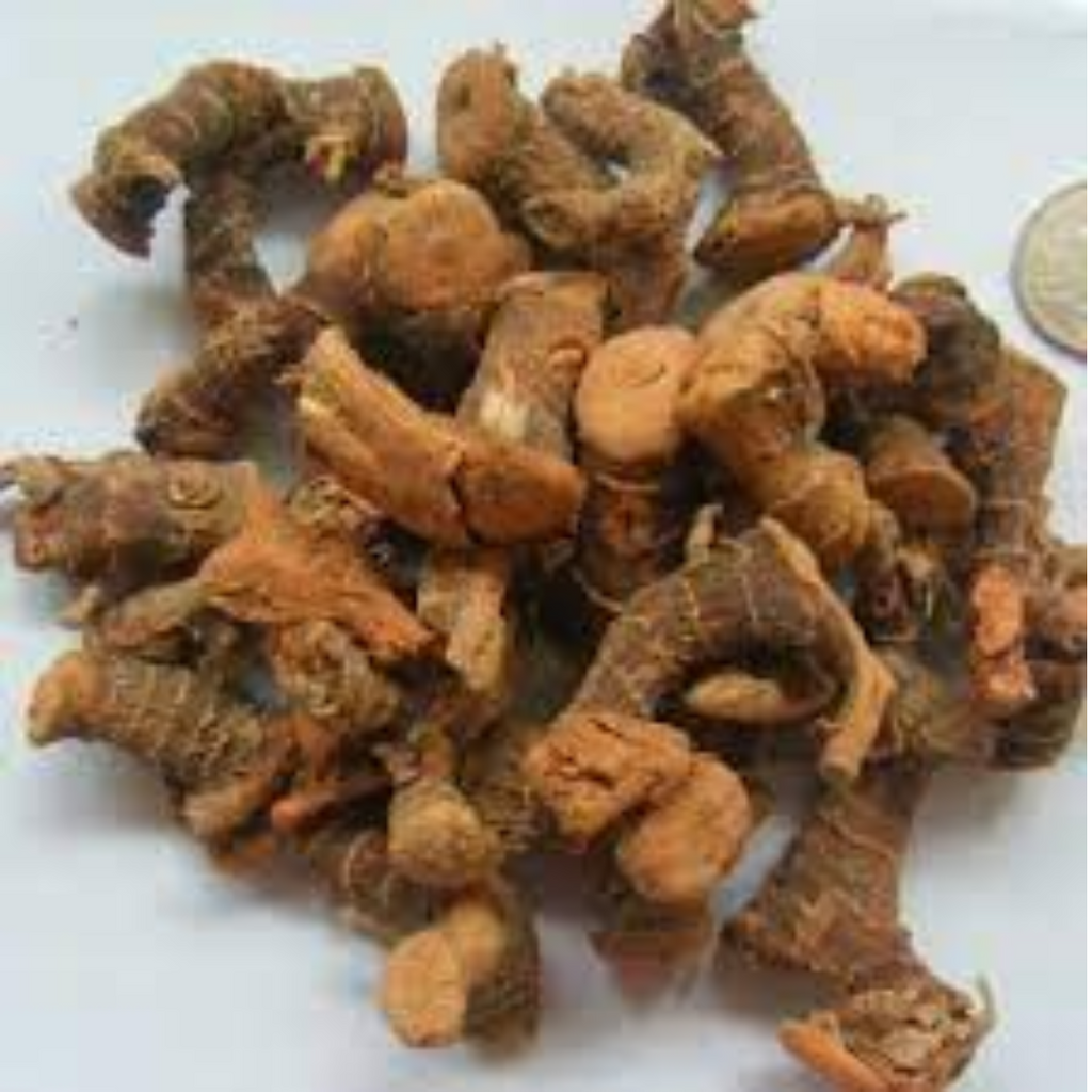 Jarpan / Galangal / Panjarh جڑپان/خولنجاں