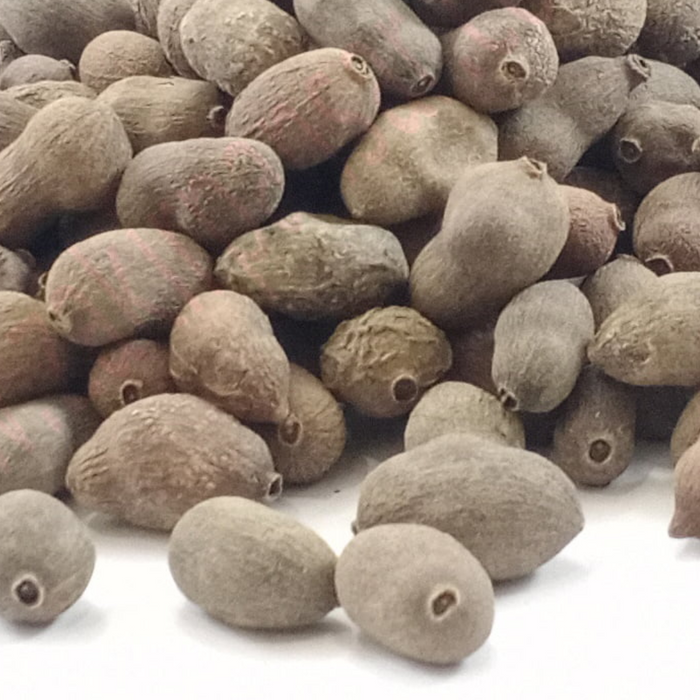 Tukhm e Jamun / Java Palm Seeds / Jambolan Seeds / تخم جامن