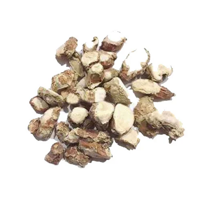 Kapoor Kachri / Ginger Lily / Hedychium Coronarium / کپور کچری