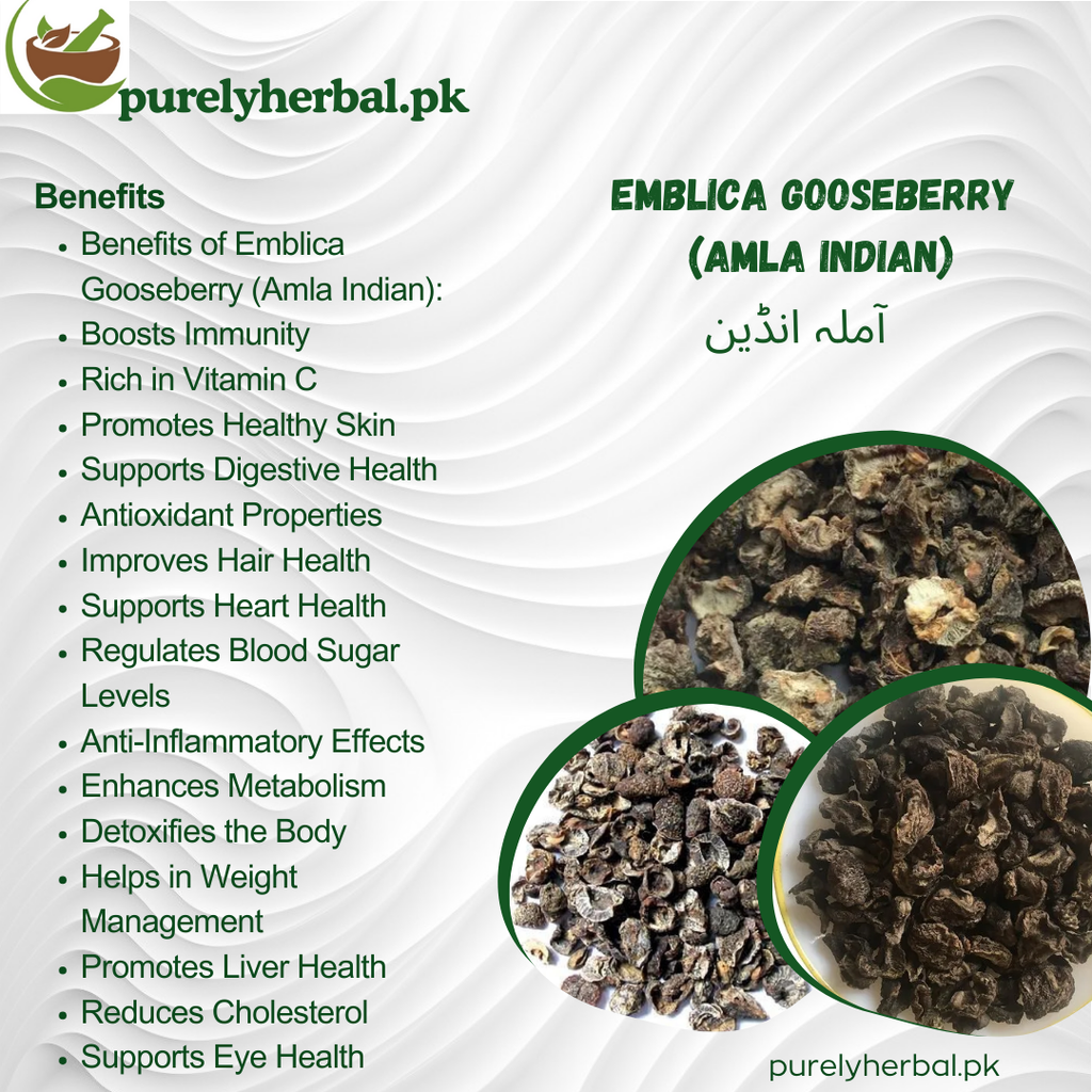 Amla Indian / Emblica Gooseberry / آملہ انڈین