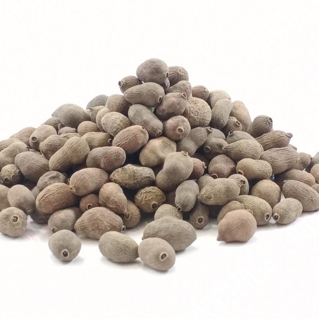 Tukhm e Jamun / Java Palm Seeds / Jambolan Seeds / تخم جامن