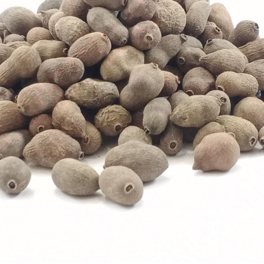Tukhm e Jamun / Java Palm Seeds / Jambolan Seeds / تخم جامن
