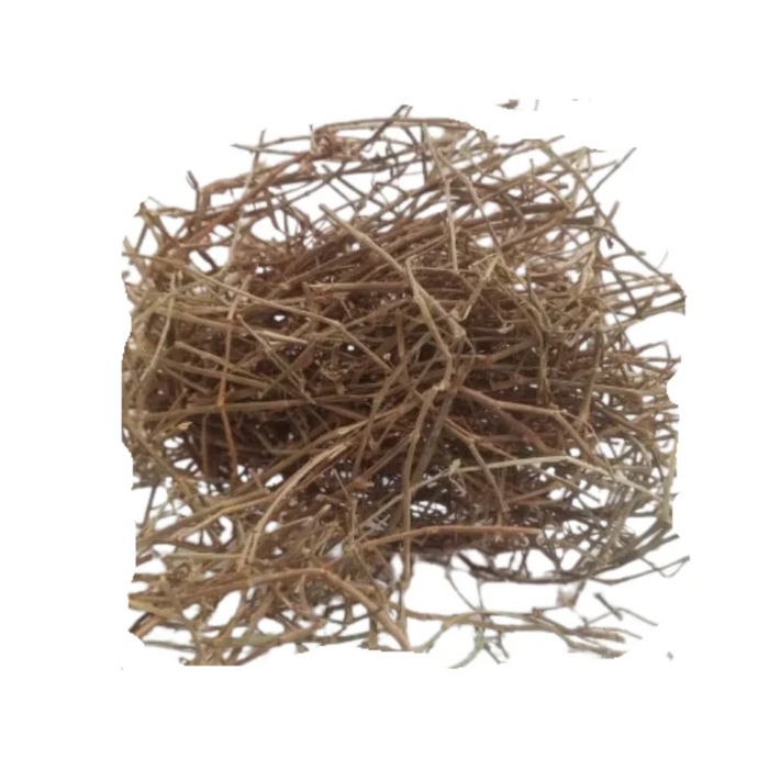 Gorakh paan / heliotropium strigosu / گورکھ پان