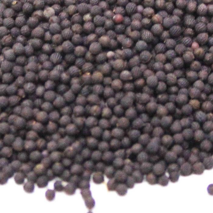 Kateri Seeds / Tukhm e Satyanasi/Solanum Virginianum ستیاناسی