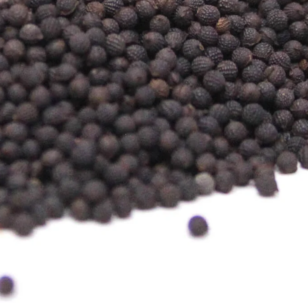 Kateri Seeds / Tukhm e Satyanasi/Solanum Virginianum ستیاناسی