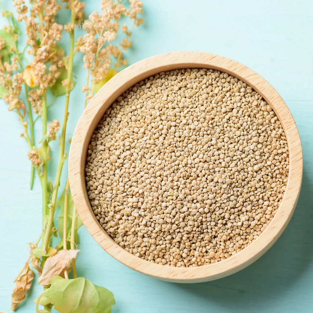 Quinoa Seeds قنوا