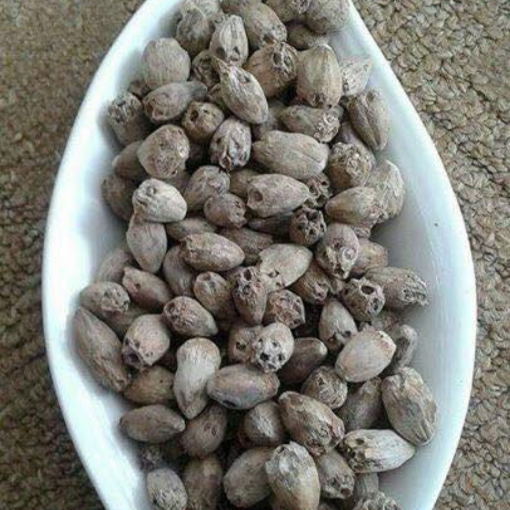 Habbul Zulam / Gundelia Seeds / Sissi / حب الزلم