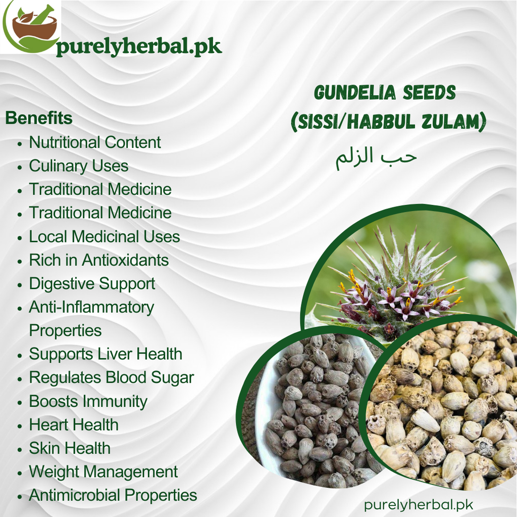 Habbul Zulam / Gundelia Seeds / Sissi / حب الزلم