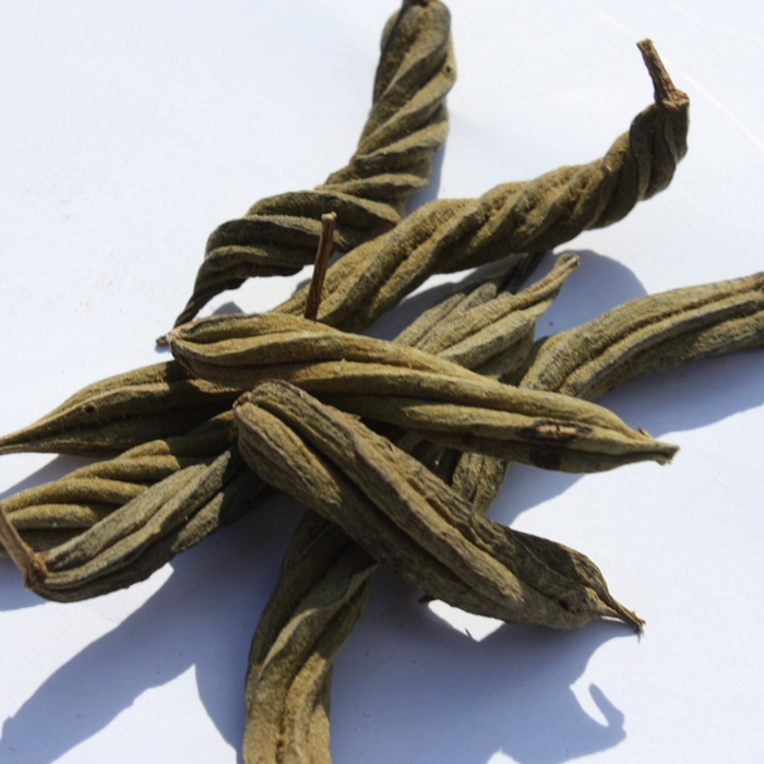 Maror Phalli Indian / Screw Tree / مروڑ پھلی
