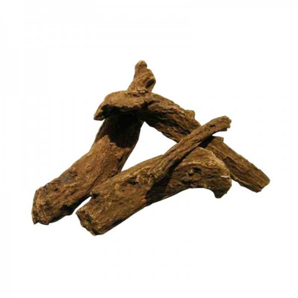 Kust Talkh / indian Costus Root قسط تلخ