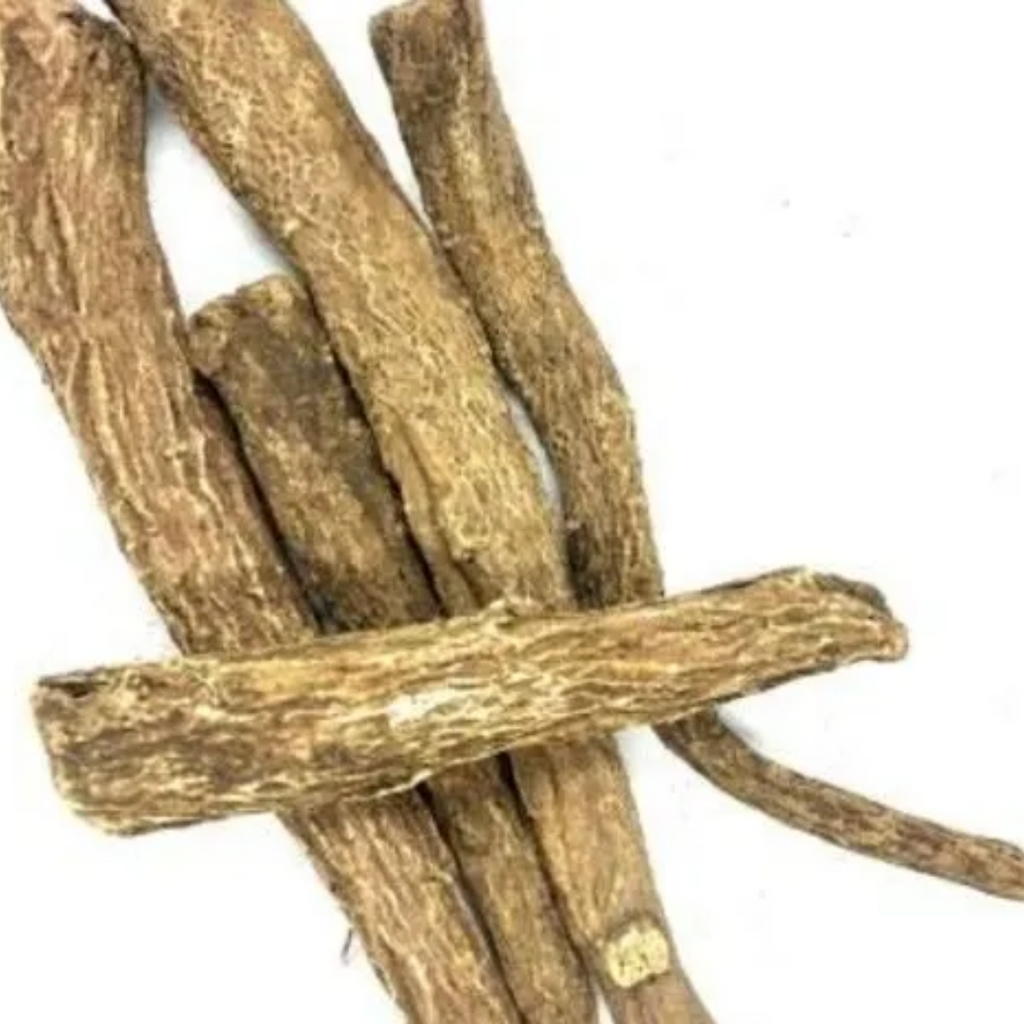 Kust Talkh / indian Costus Root قسط تلخ
