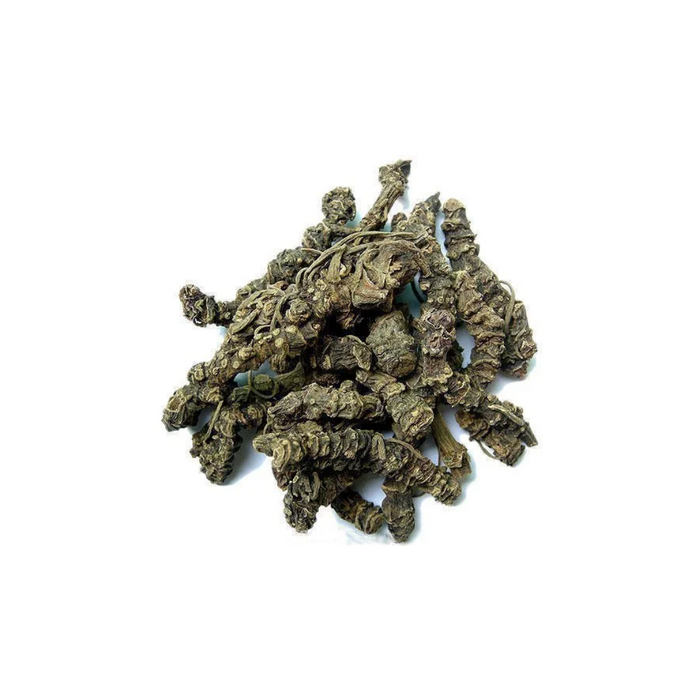 Asaroon / Korr / Valeriana Wallichii / Indian Valerian اسارون/ کوڑ