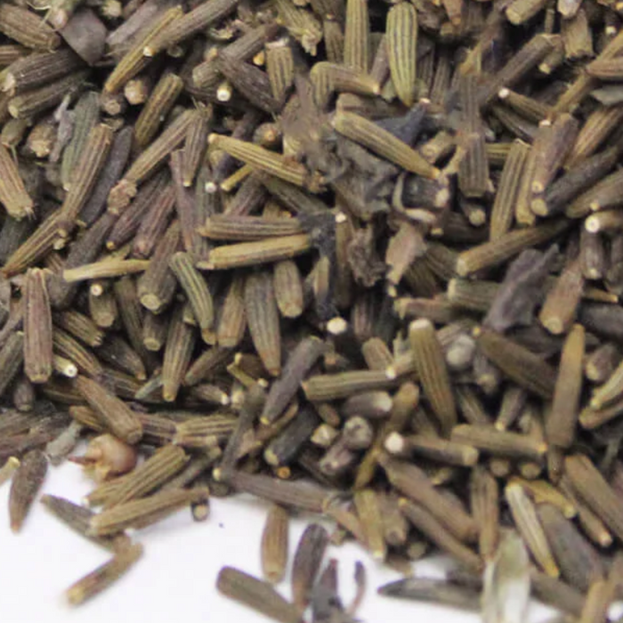 Kali Zeeri / Bitter Cumin / Purple Fleabane Seeds زیری سیاہ