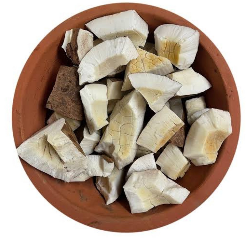Naryal daryai / Sea Coconut / Lodoicea / ناریل دریائی