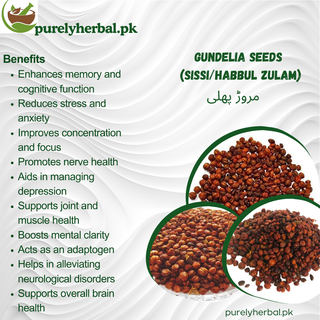 Intellect Plant Seeds / Malkangni مالکنگنی