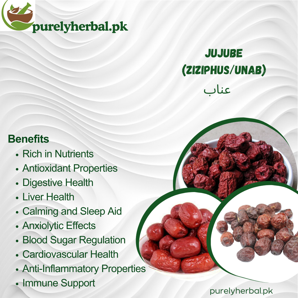 Unaab / Ziziphus jujube عناب