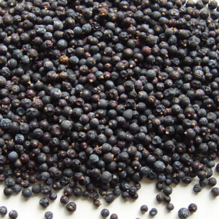 Hao Bair / Juniper Berries / Abhal / ہاو بیر / ابہل