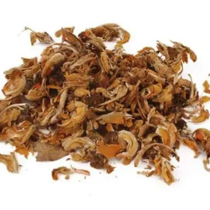 Gul Keso / Butea Frondosa / Sacred Tree گل کیسو