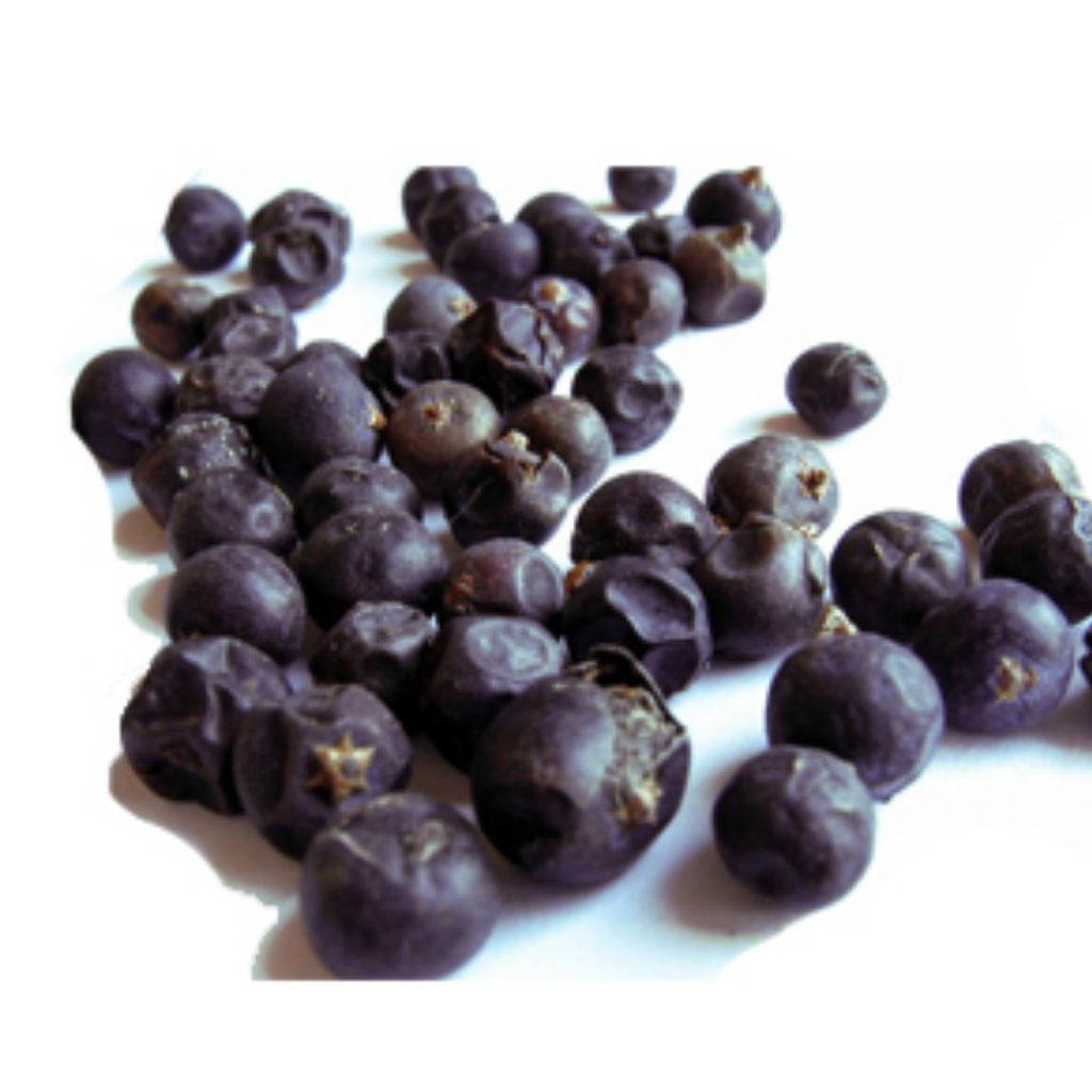 Hao Bair / Juniper Berries / Abhal / ہاو بیر / ابہل