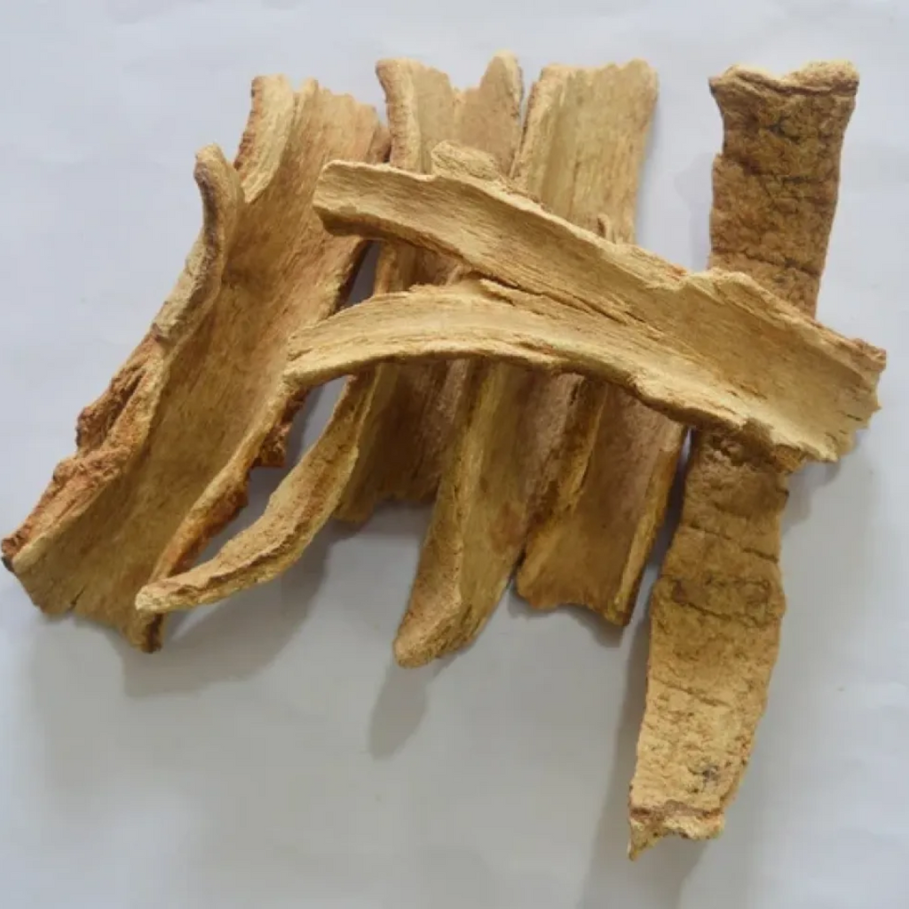 Lodh Pathani / Lodh Tree Bark / لودھ پٹھانی