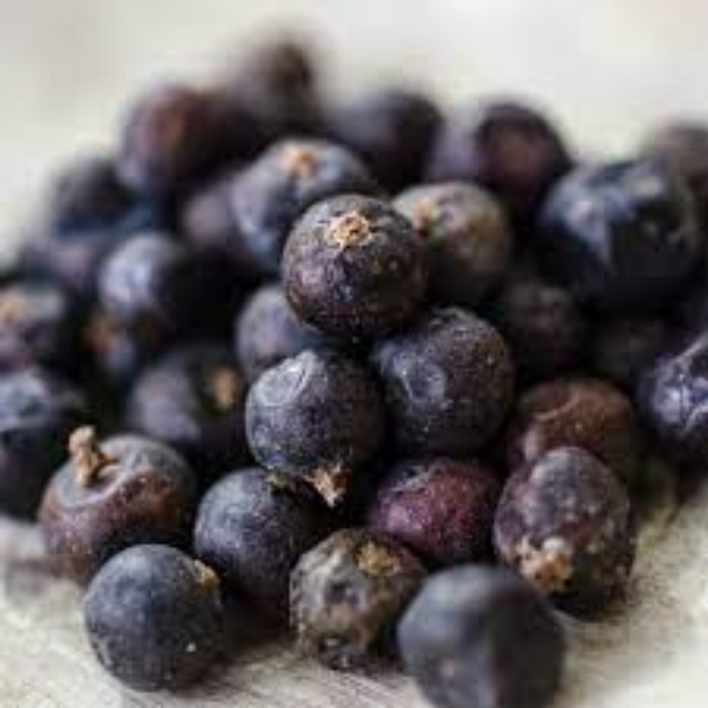 Hao Bair / Juniper Berries / Abhal / ہاو بیر / ابہل