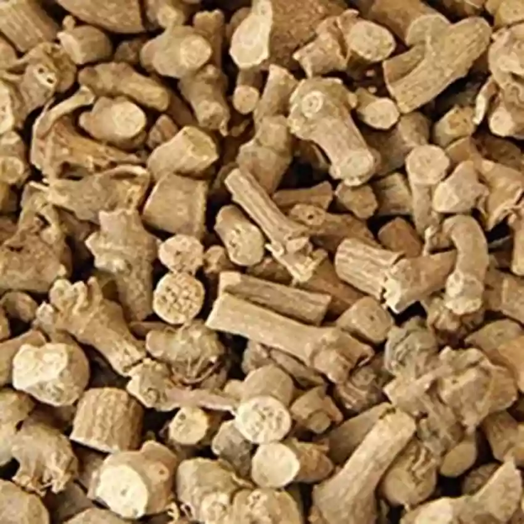Piplamol /  Long Pepper Root  پپلا مول