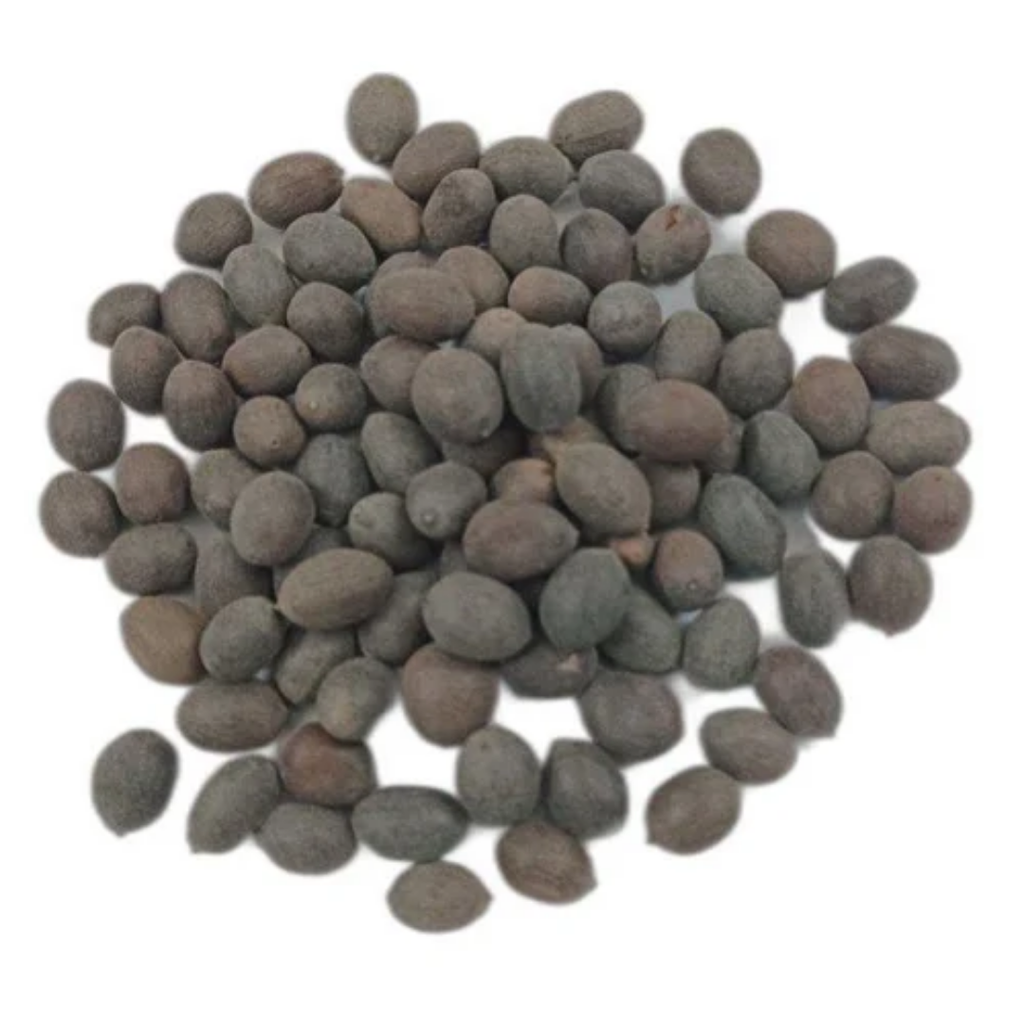 Kol Dode / Lotus Seeds / کول ڈوڈے