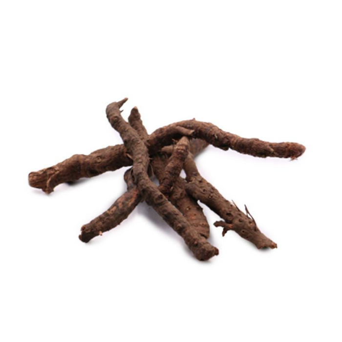Anjbar / Alpine Bistort / Persicaria Viviparum انجبار