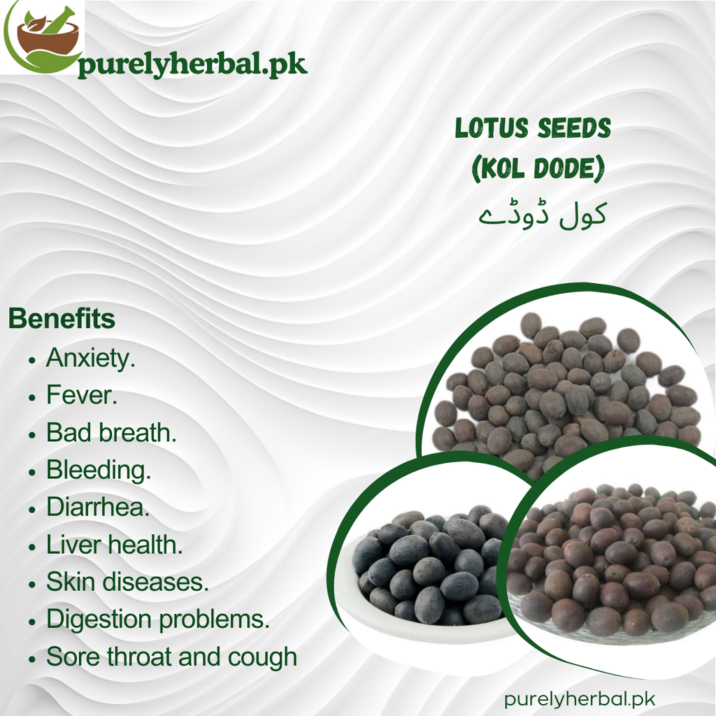 Kol Dode / Lotus Seeds / کول ڈوڈے