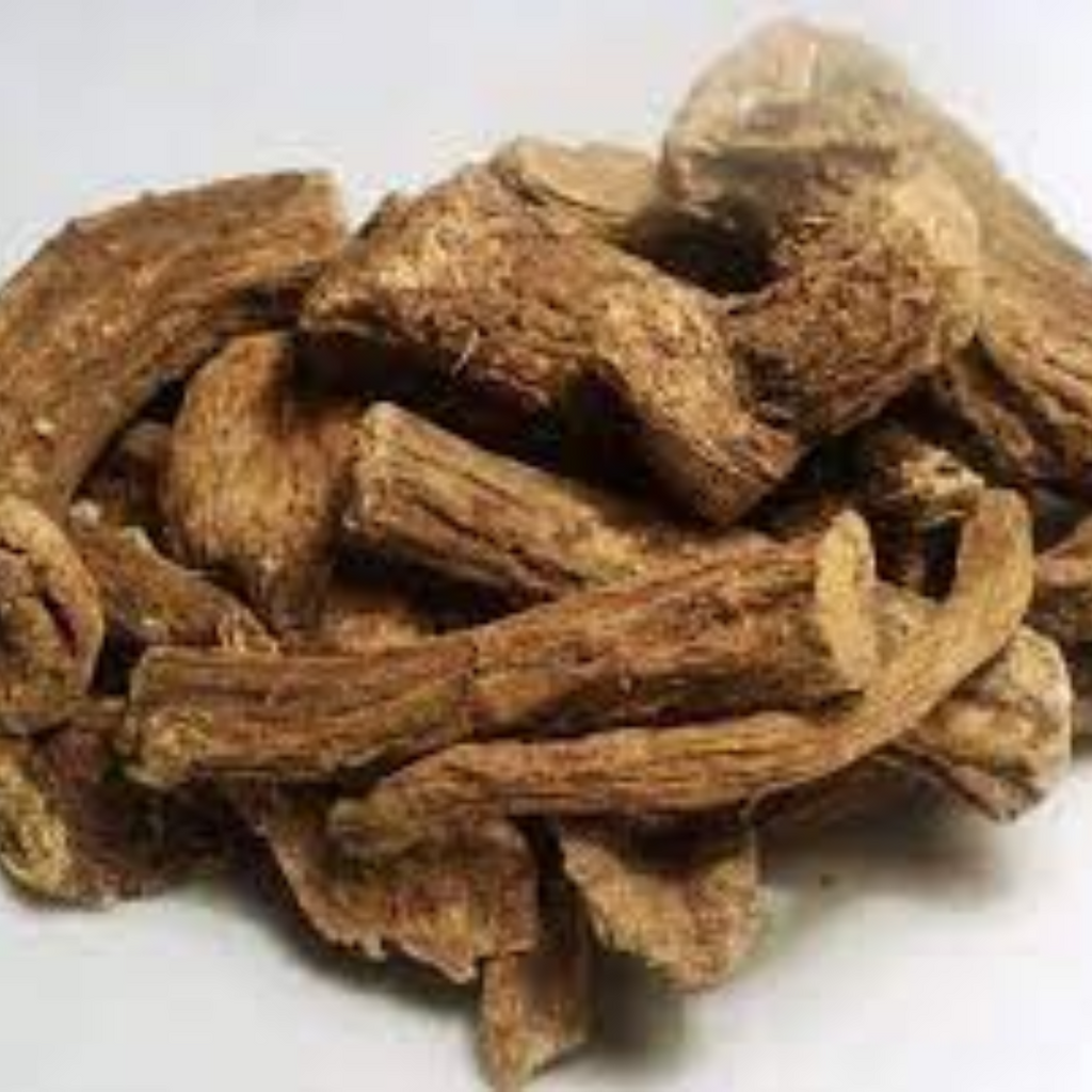 Kuth Shereen / Marine Costus / قسط شیریں
