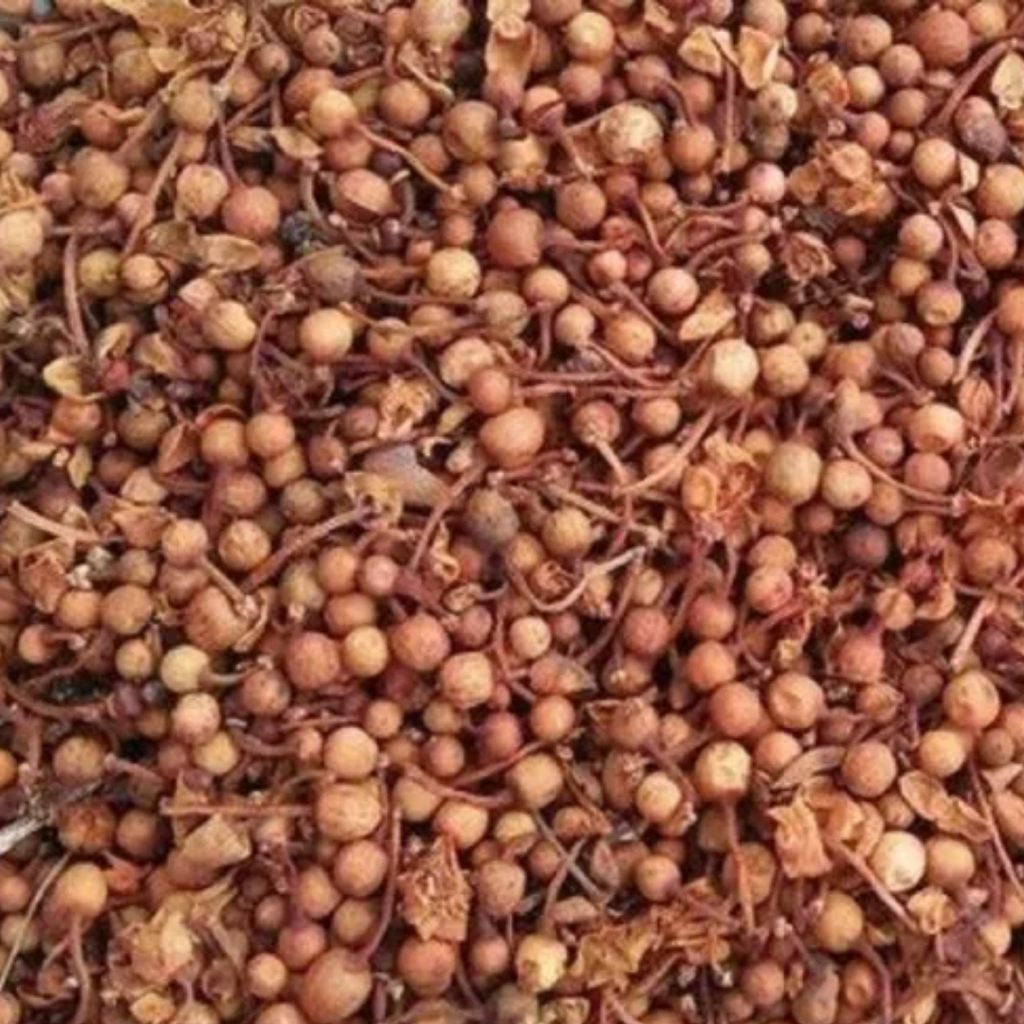 Nagkesar / Mesua Ferrea / Ochrocarpus Longifolius ناگ کیسر