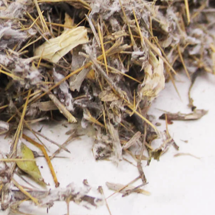 Onth Khatara / Milk Thistle Root جڑ اونٹ کٹارا