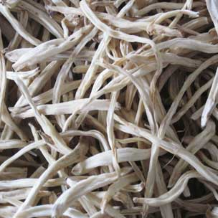 Musli Safed / Chlorophytum Borivilianum / موصلی سفید