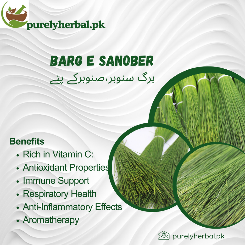 Barg e Sanober برگ سنوبر،صنوبرکے پتے