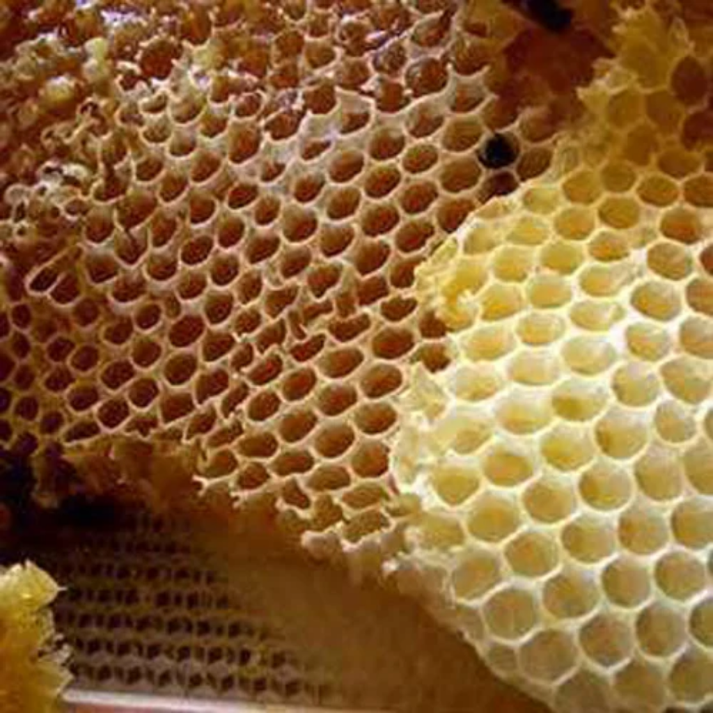 Mom Desi / Bees Wax / موم دیسی