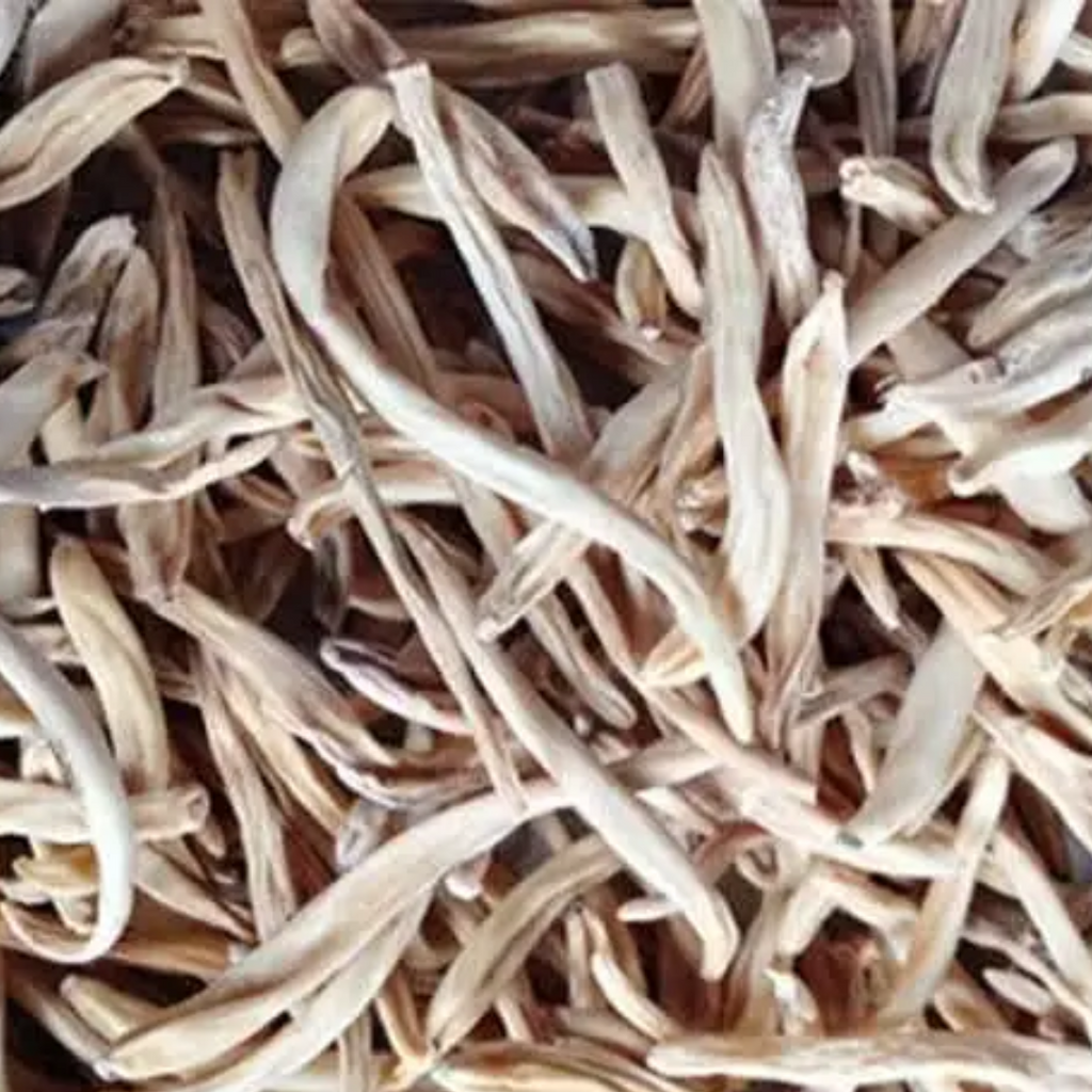 Musli Safed / Chlorophytum Borivilianum / موصلی سفید