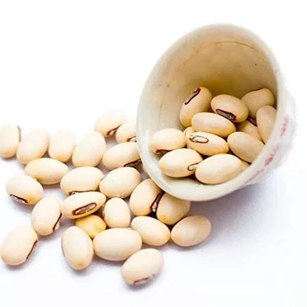 Konch Siyah / Mucuna Pruriens / Black Velvet Beans / کونچ سیاہ