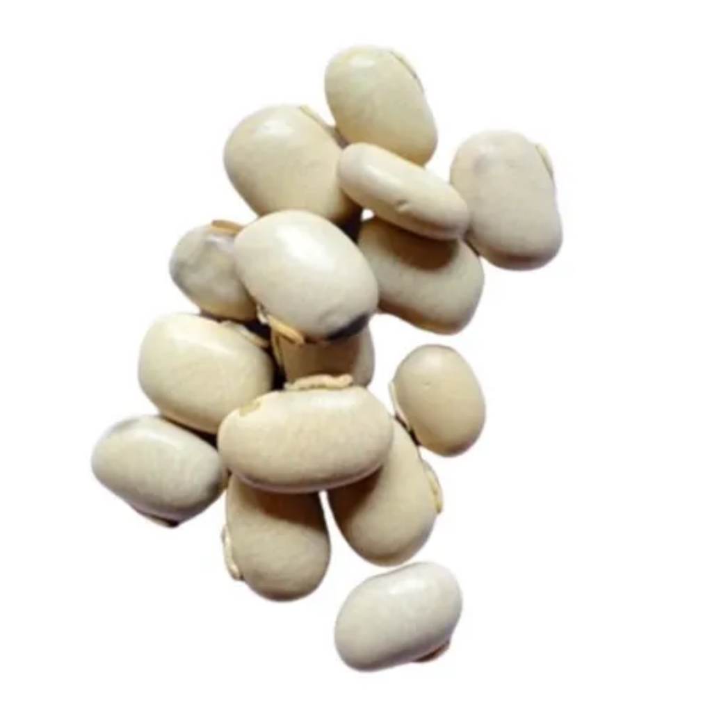 Konch Siyah / Mucuna Pruriens / Black Velvet Beans / کونچ سیاہ