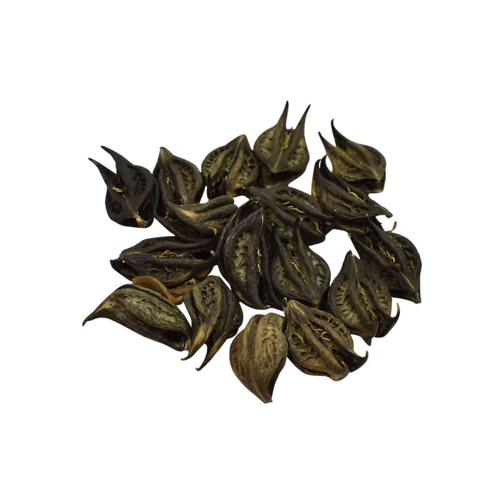 Bichoo Botti / Nettle / Bat Head Root / بچھو بوٹی
