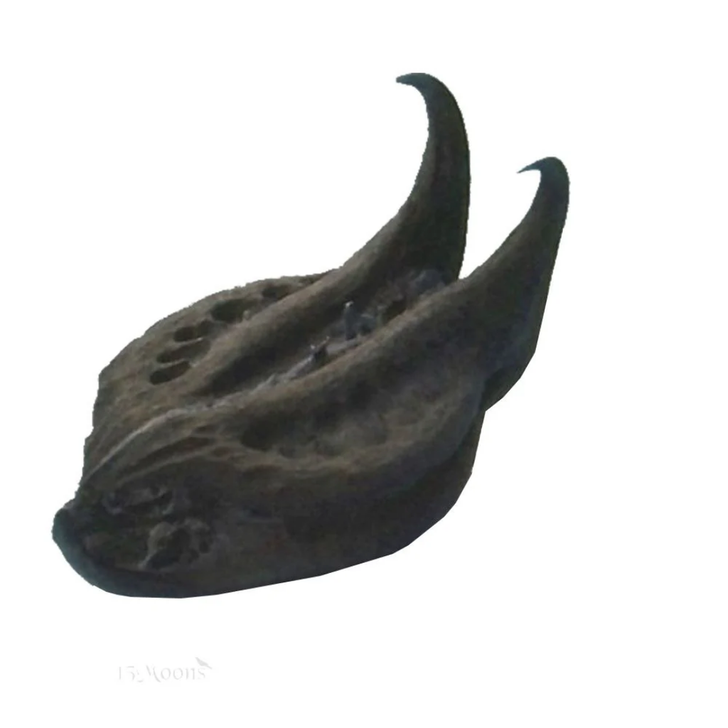 Bichoo Botti / Nettle / Bat Head Root / بچھو بوٹی