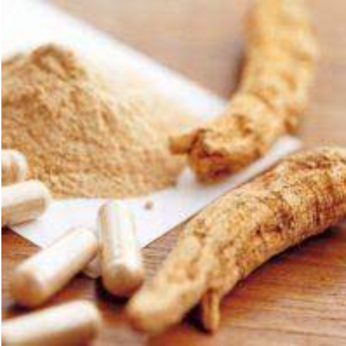 Ginseng Chinaنسنگ چائنہ
