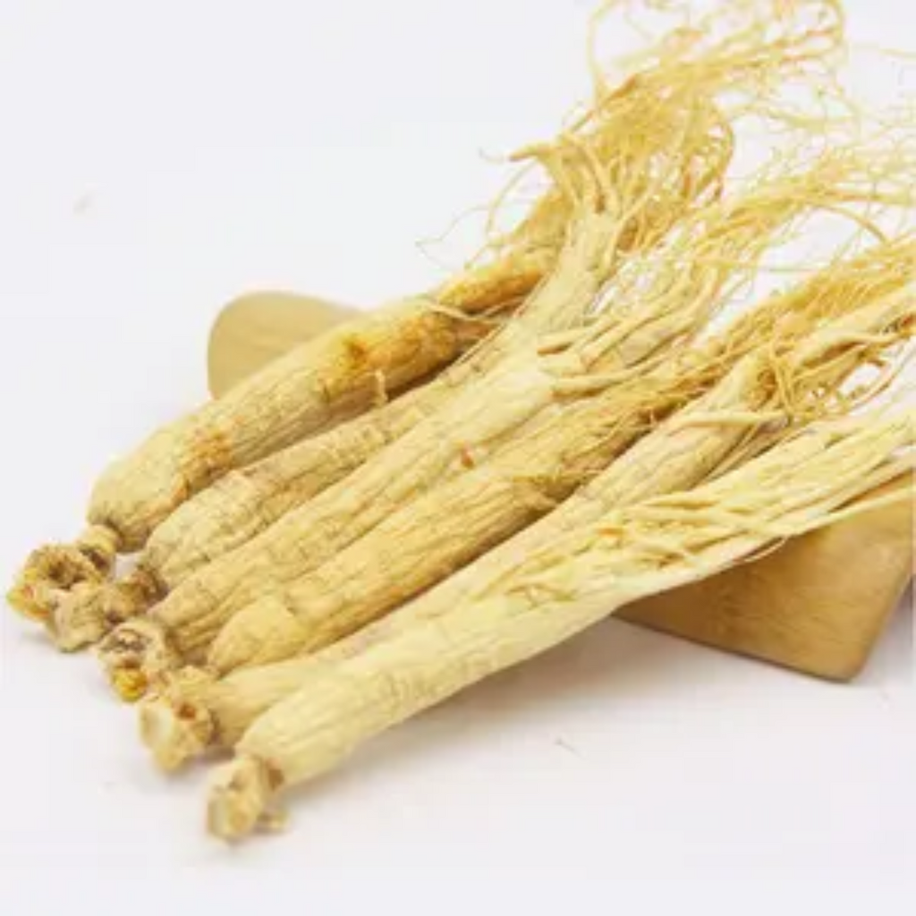 Ginseng Chinaنسنگ چائنہ