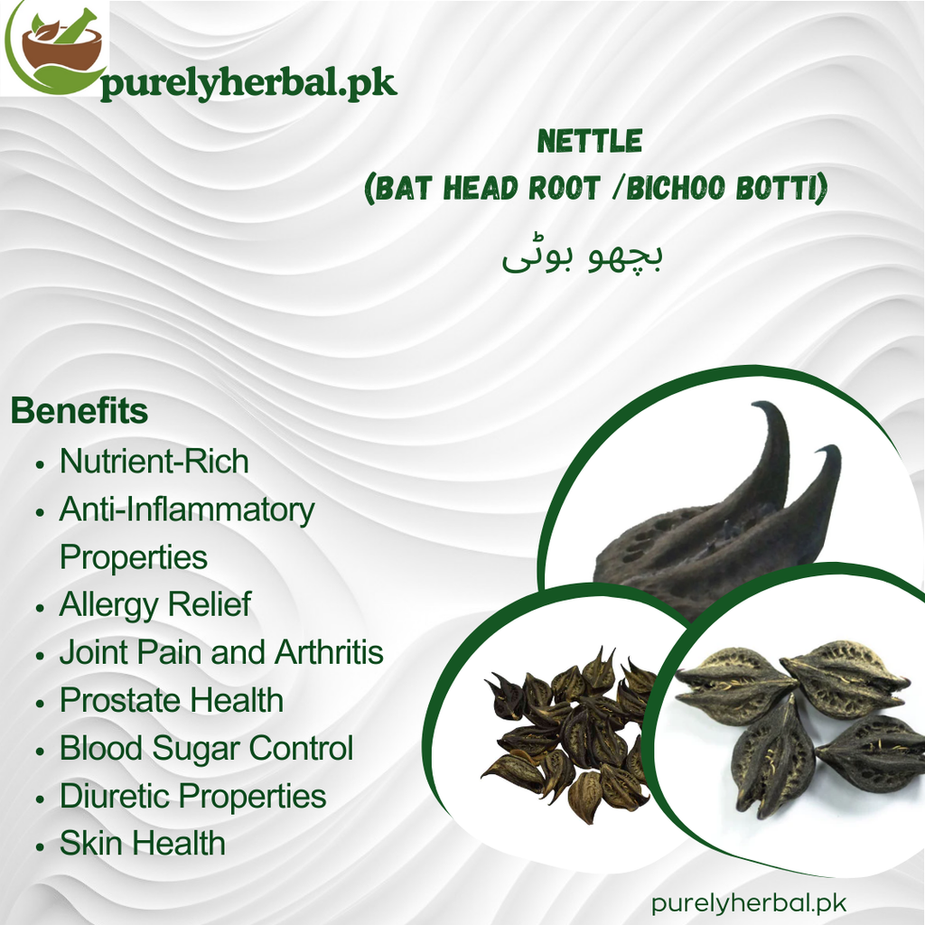 Bichoo Botti / Nettle / Bat Head Root / بچھو بوٹی