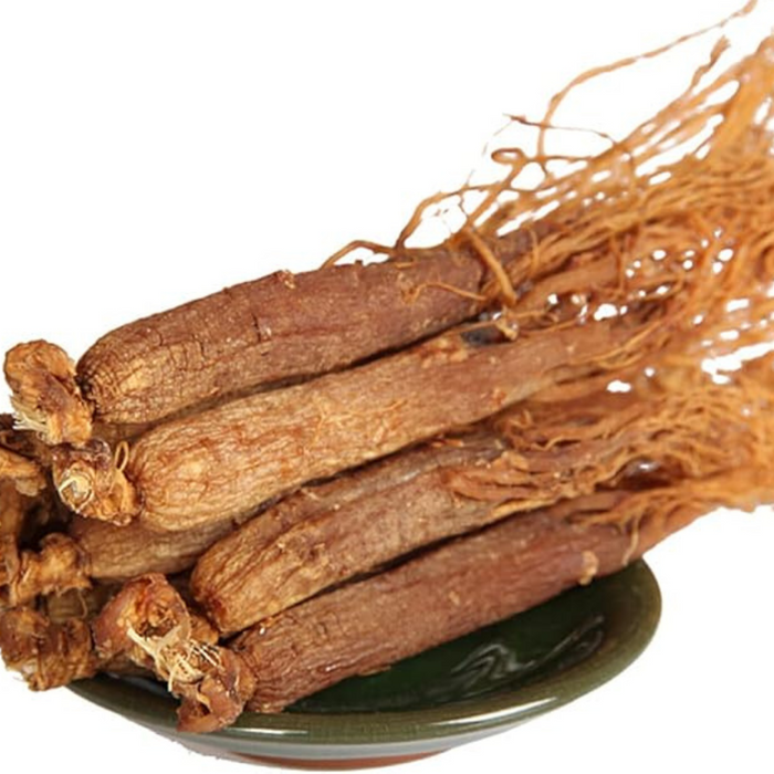 Ginseng Korean / Red Ginseng جنسنگ گولڈ